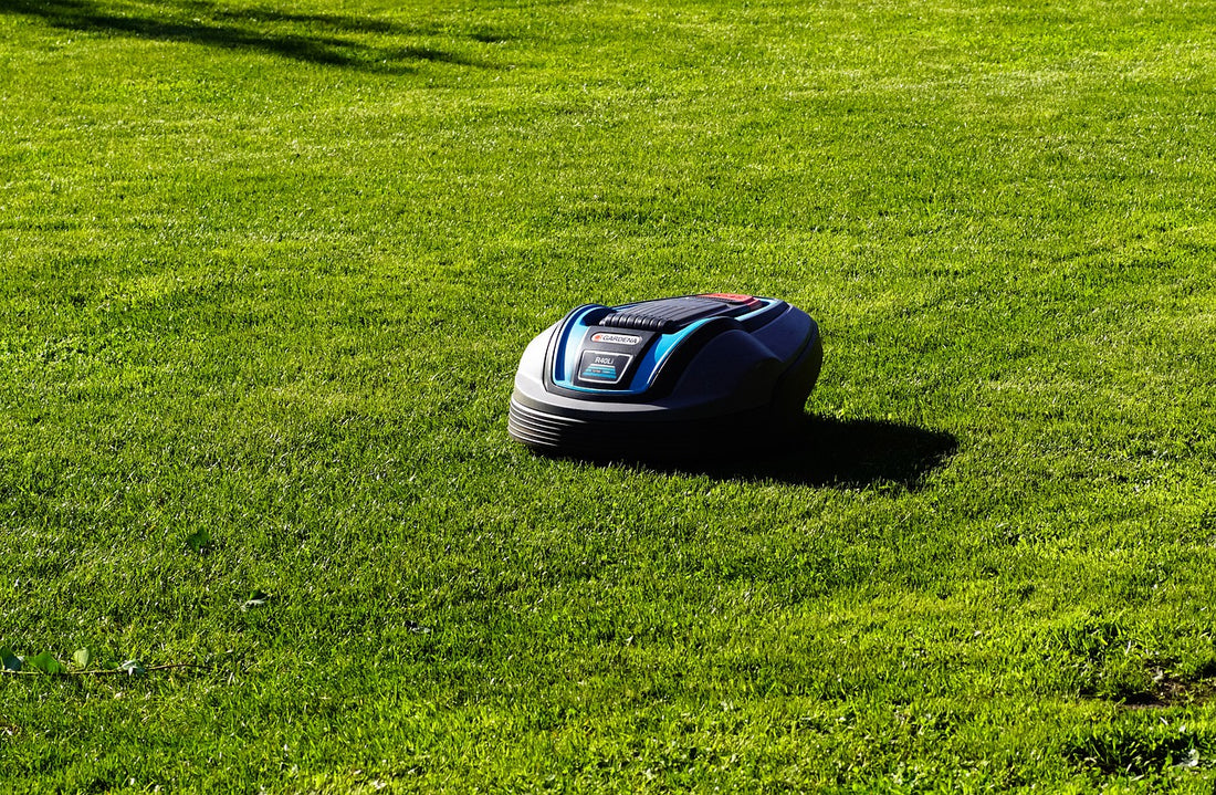 When to Replace Your Lawn Mower Battery: 4 Signs It's Time