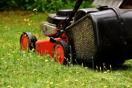 7 Mistakes Garden Equipment Owners Make - Lawn Mower Repair Near You